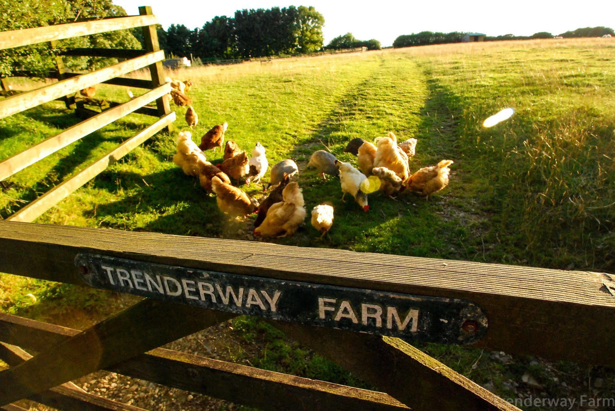 Bed and Breakfast Trenderway Farm Looe Exterior foto