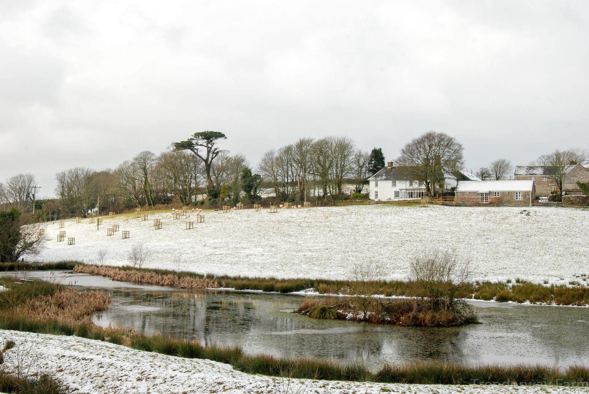 Bed and Breakfast Trenderway Farm Looe Exterior foto